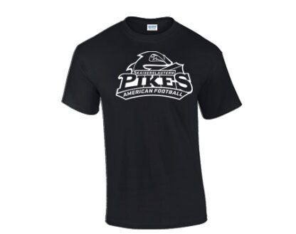 1HERREN T-SHIRT STAHLS – Bild 2