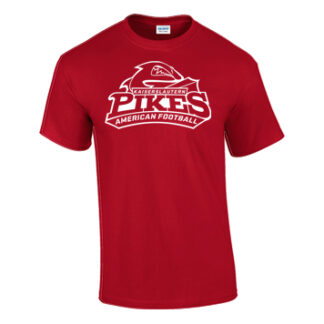 1HERREN T-SHIRT STAHLS