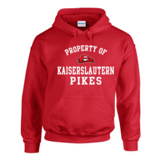 1 HOODIE BLEED