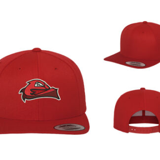 1 CLASSIC SNAPBACK 6089M